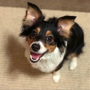 Meet your Posher, Megan